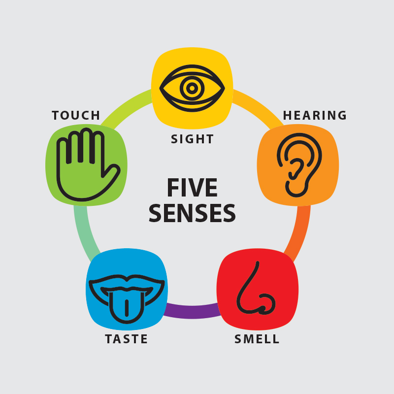 fivesenses